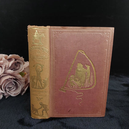 Antique & vintage books