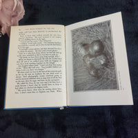 Thumbnail for 1941 Romany Out by the Sea  Bramwell Evens Hardcover BBC Nature Book edit first 8