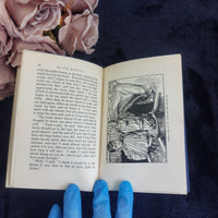 Thumbnail for 1930s Beauty Black Anna Sewell Illustrated Vintage Book Spine Blue Cloth Display6