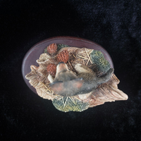 Thumbnail for Fine Border Arts 1995 