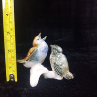 Thumbnail for Karl Ens Volkstedt RareENS Porcelain Bird Figurine Pair – hand painted, german3
