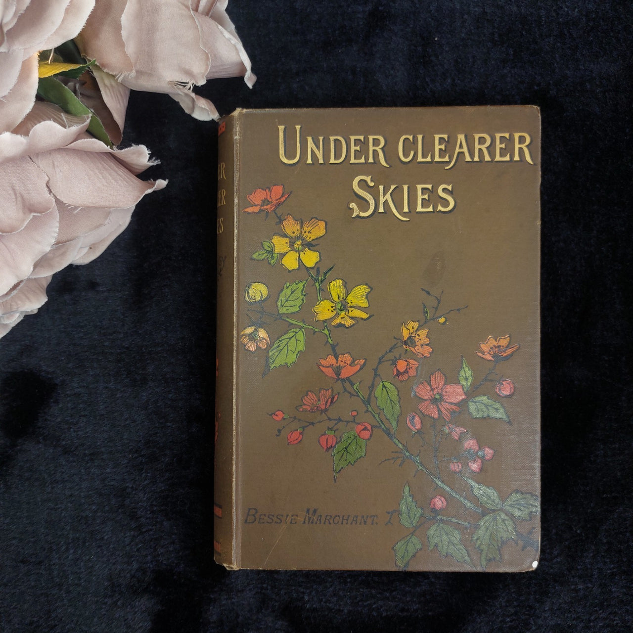 Marchant Under Clearer Skies Book Good Floral Cover Girl's Fiction Rare Antique 0