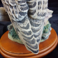 Thumbnail for Border Fine Arts 1998 Long Eared Owl Russell Willis 541729  BFA Birds Figurine11