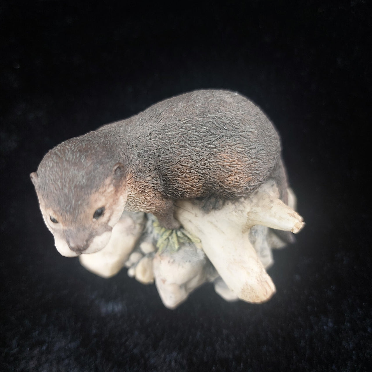 Border Fine Arts  Year 1994 "First Outing" Otter Figurine - MTR01 by Ray Ayres4