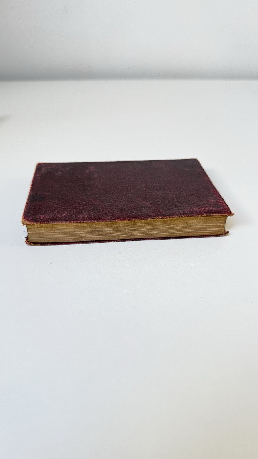 Collins Days Last of Pompeii Lord Lytton Antique Red Leather Gilt Spine 1890s5