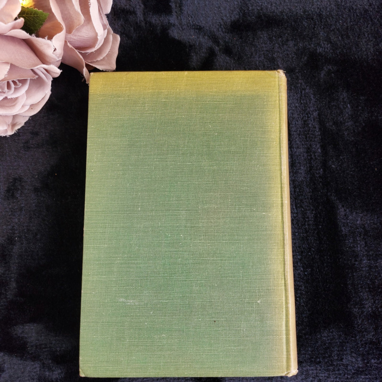 Grey of Fallodon Charm of Birds Hardcover 3rd 1927 Impression Ornithology book4
