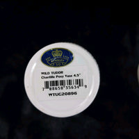 Thumbnail for Wild Aynsley Tudor porcelain Elephant Figurine Vase & Trinket Dish Set of 315