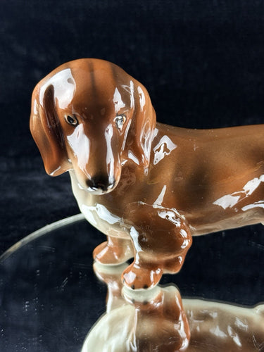 Rosenthal Dachshund Porcelain Figurine 1950s Hand Painted 8in See The Pics1