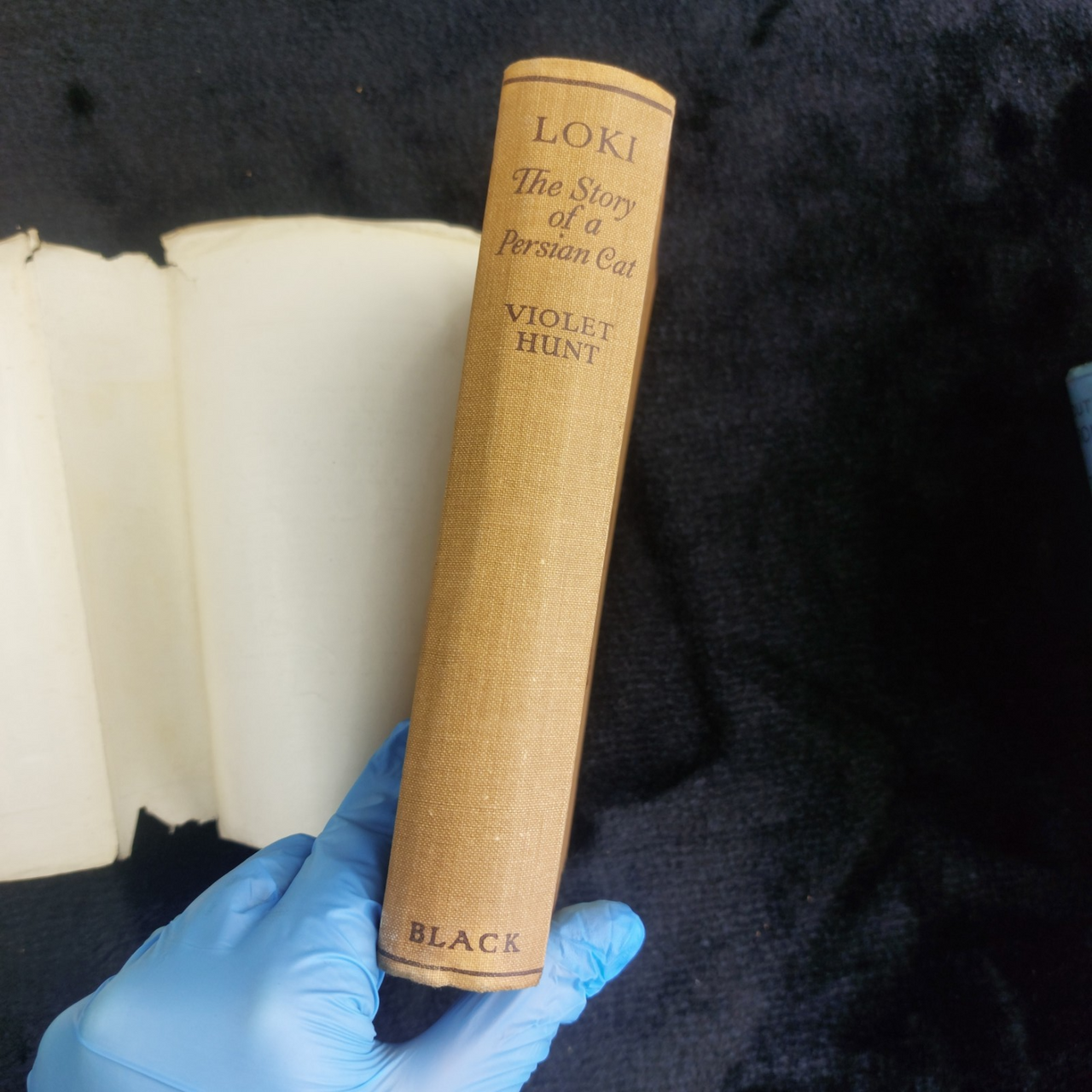 1933 Black Loki Persian Cat Book Violet Hunt Reprint Good with Dust Worn Jacket3