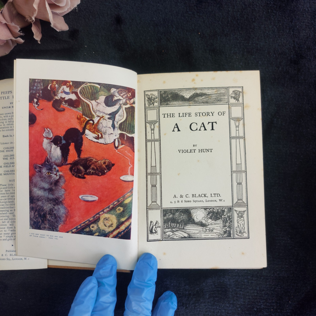 1933 Black Loki Persian Cat Book Violet Hunt Reprint Good with Dust Worn Jacket4