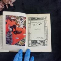 Thumbnail for 1933 Black Loki Persian Cat Book Violet Hunt Reprint Good with Dust Worn Jacket4