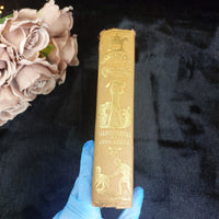 Thumbnail for 1854 book Antique Handley Cross Mr. Jorrocks's Hunt First Illustration Edition d4