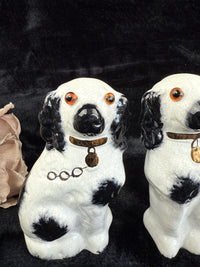 Thumbnail for Antique Staffordshire Porcelain Black White Pair King Charles Spaniel Glass eyes7