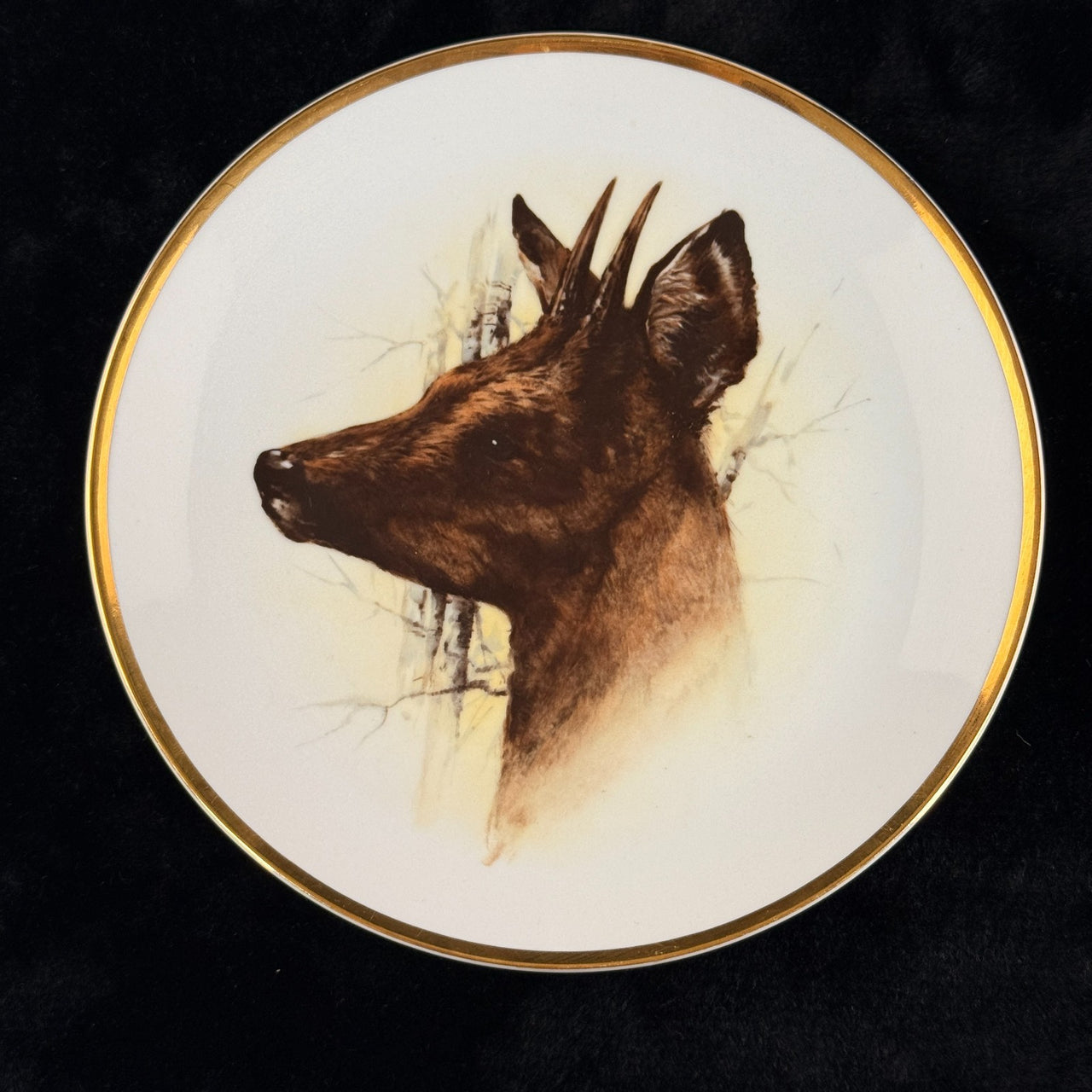 Spode Wildlife Series Fox Plate Bohemia Deer Czechoslovakia Art Bone Decor China1