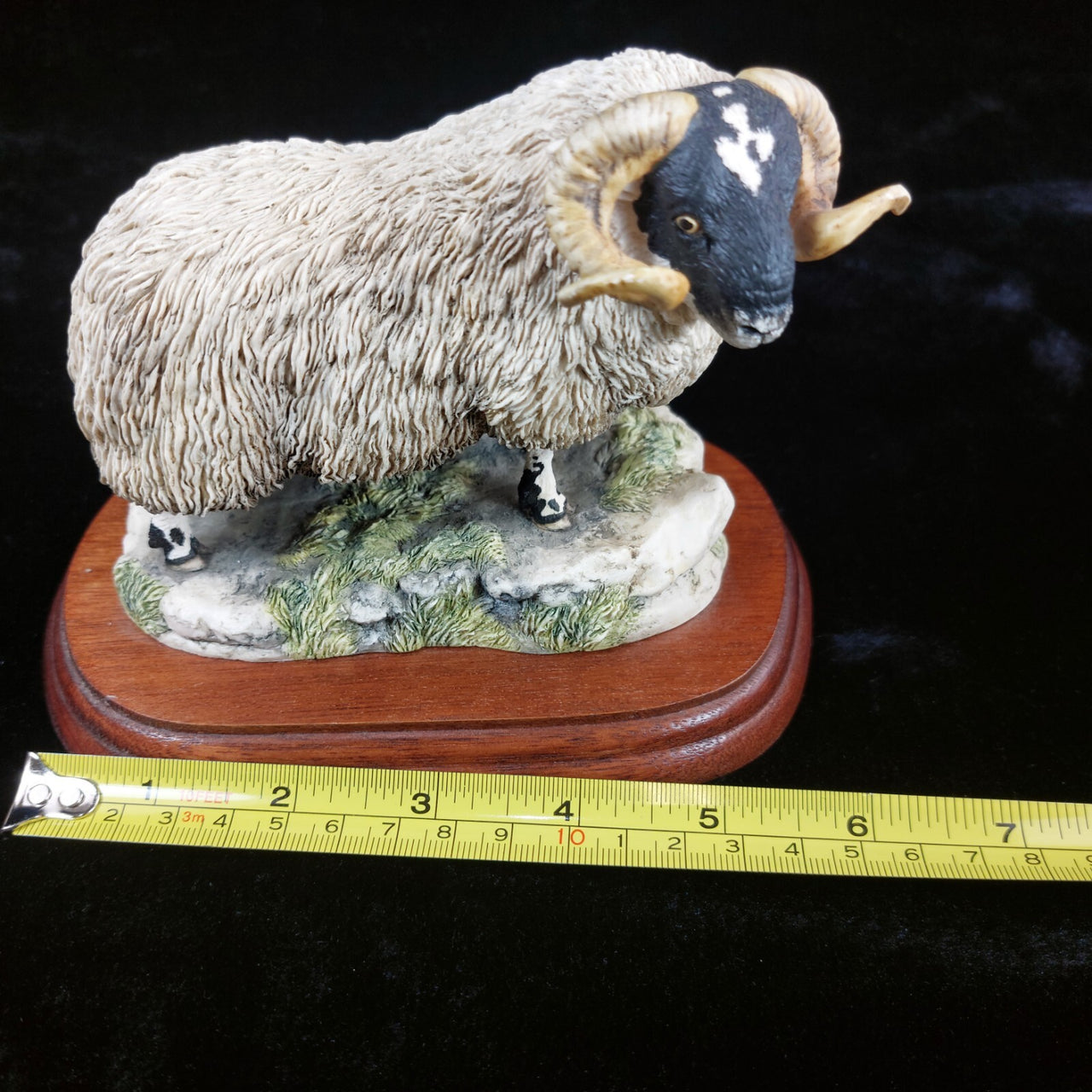 Border Fine Arts 1995 Black Faced Tup Figurine by Anne Wall The County Show3