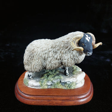 1995 Border Fine Arts Black Faced Tup Figurine by Anne Wall The County Show1
