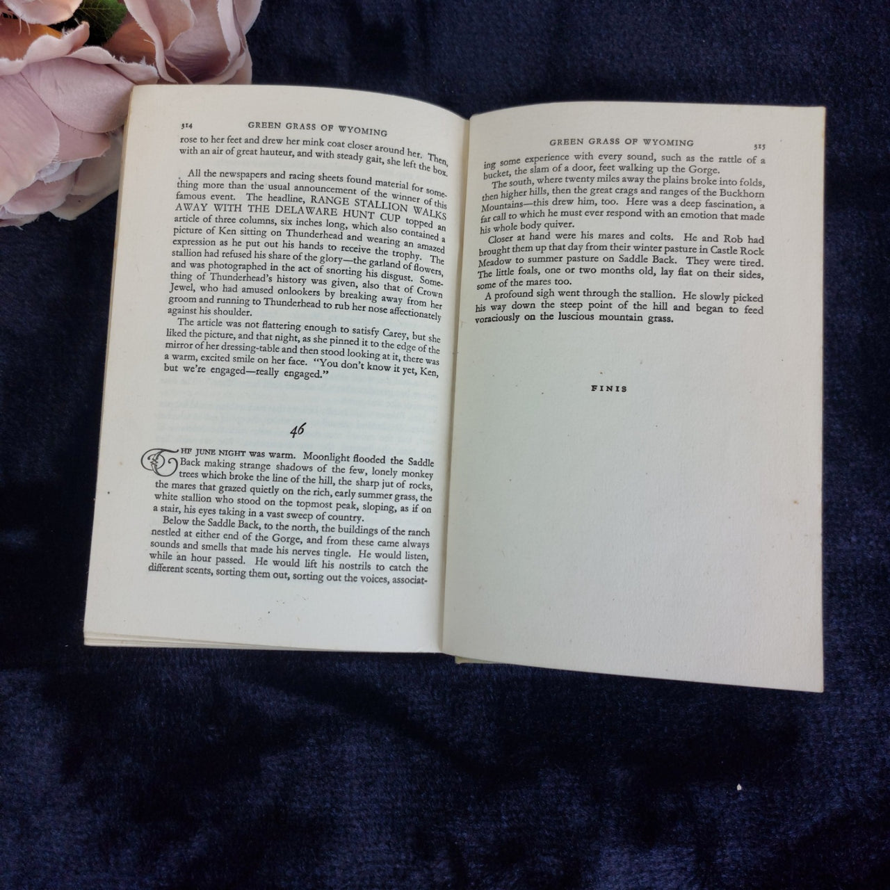 Green Grass of Wyoming Mary O’Hara Eyre Spottiswoode 1951 Vintage Hardcover Book8