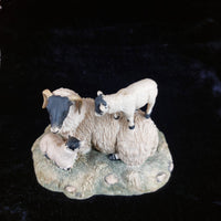 Thumbnail for Border Fine Arts 1980s D Walton Scottish Black Face Sheep Family Highland2
