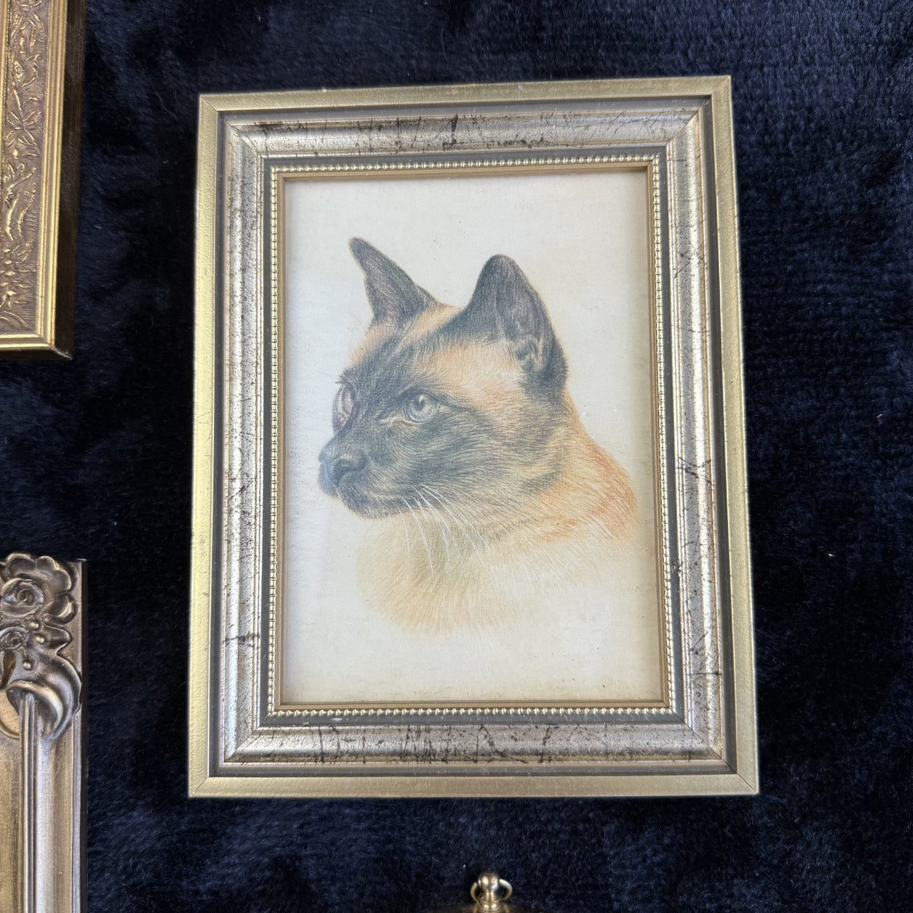 Set of 7 Vintage Brass Ornate Gold Tone Picture Frames (moseley ware metal 198011