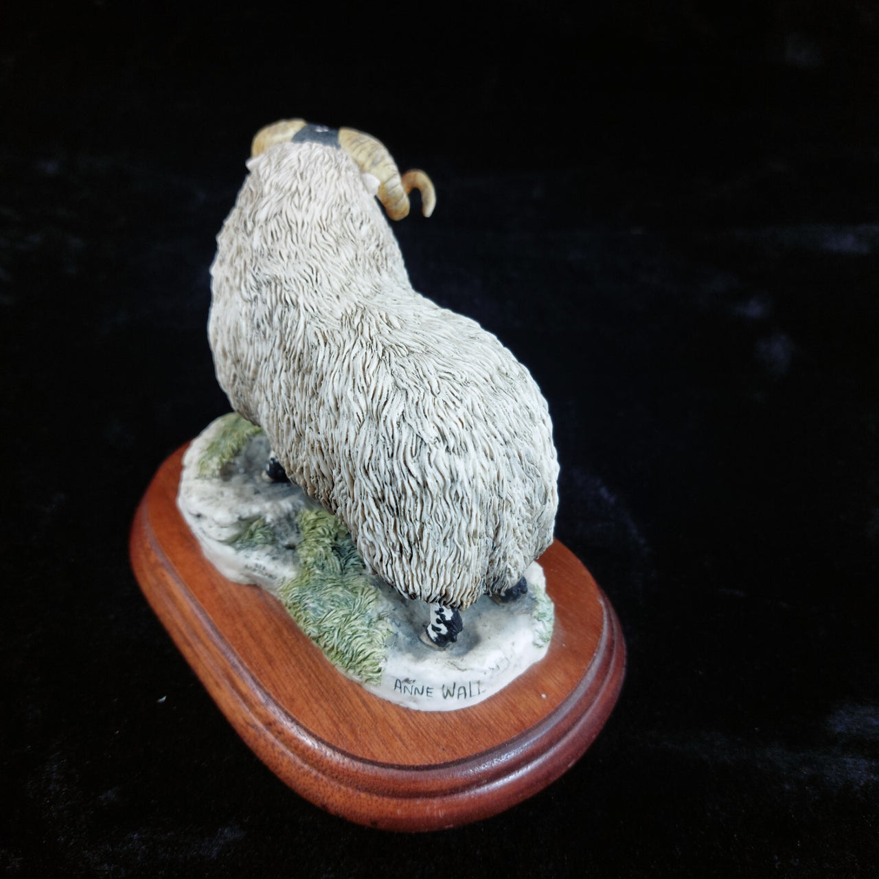 Border Fine Arts 1995 Black Faced Tup Figurine by Anne Wall The County Show11