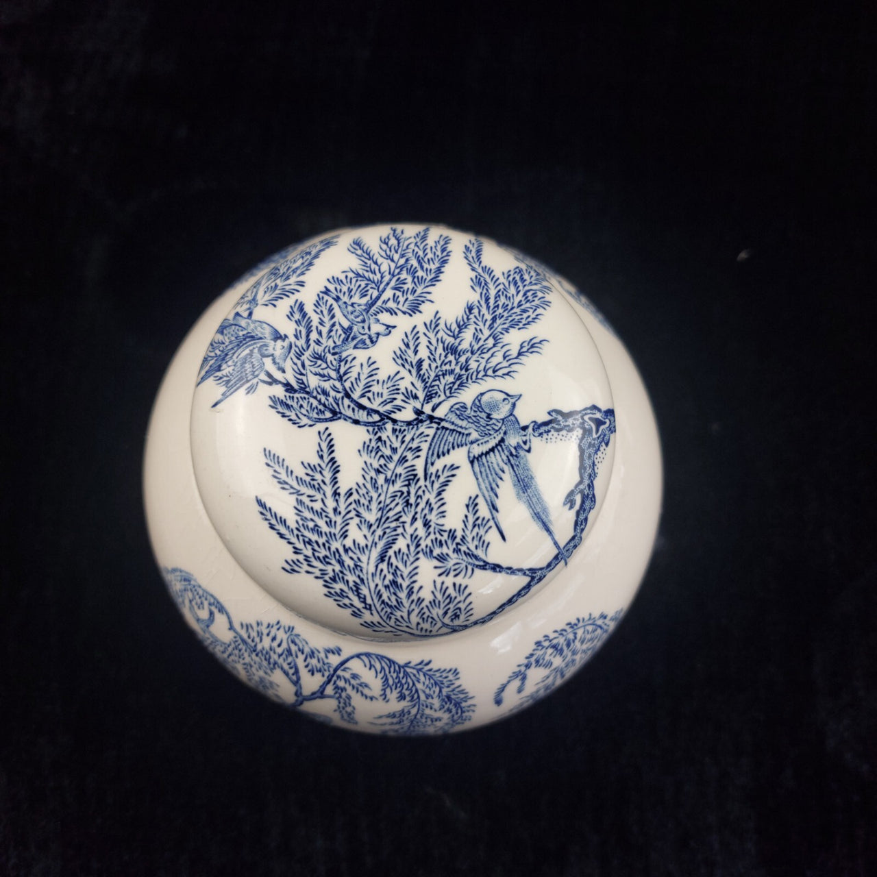 Mason’s Koro Ginger Jar Good 5.5 in Blue White Birds England Ringtons Porcelain4