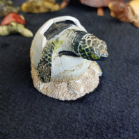 Thumbnail for Turtle Figurine Lot Collection 6 Good Resin Wood ceramic Carved Mallorca bundle8