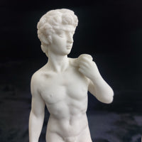 Thumbnail for Michelangelo David & Female Nude Sculpture Pair – 9.5
