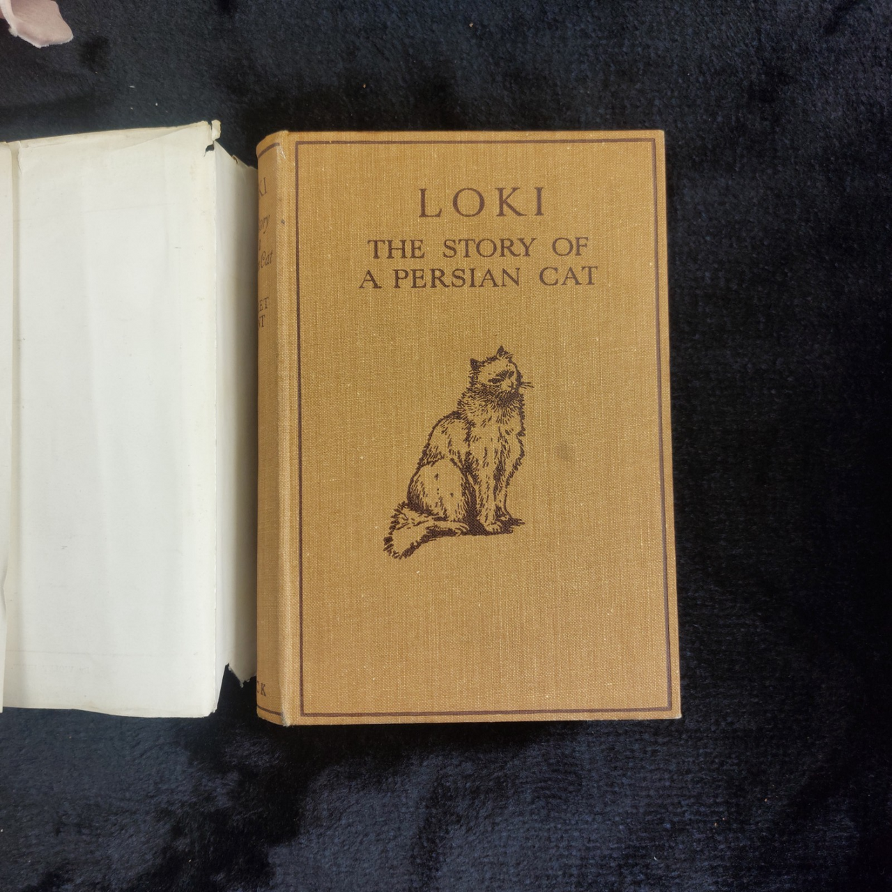 1933 Black Loki Persian Cat Book Violet Hunt Reprint Good with Dust Worn Jacket2