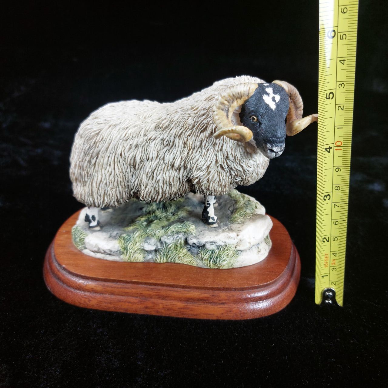 Border Fine Arts 1995 Black Faced Tup Figurine by Anne Wall The County Show2
