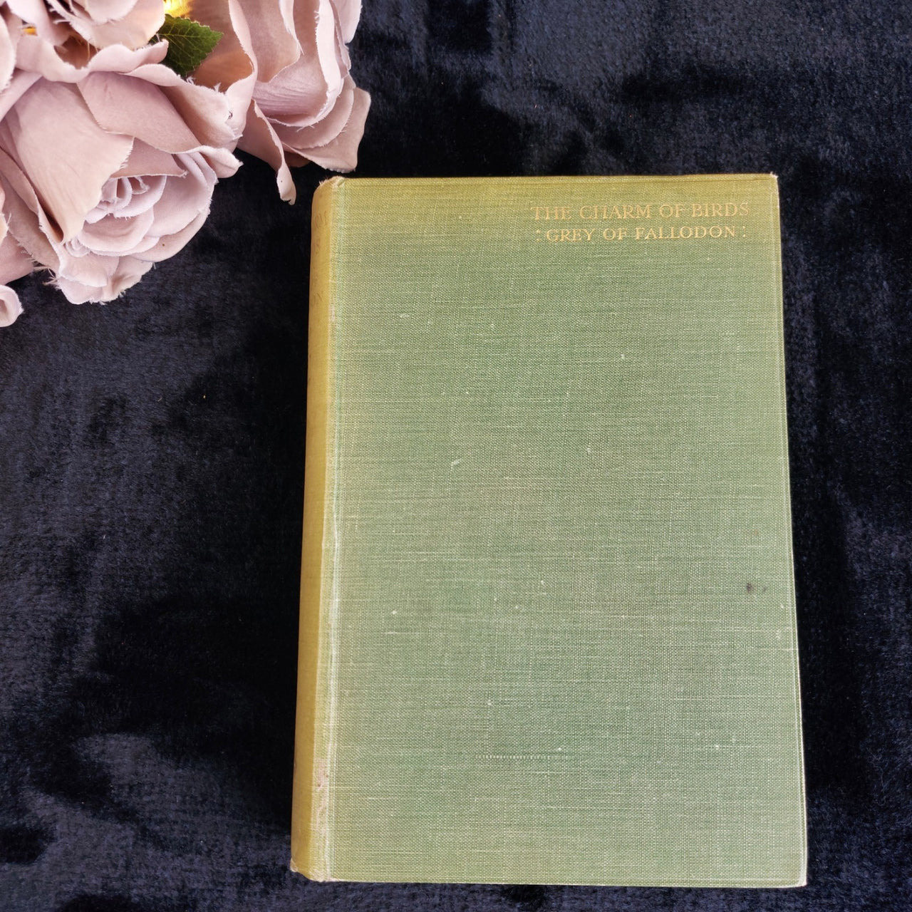 Grey of Fallodon Charm of Birds Hardcover 3rd 1927 Impression Ornithology book0