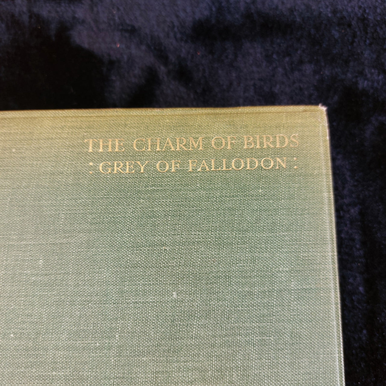 Grey of Fallodon Charm of Birds Hardcover 3rd 1927 Impression Ornithology book1