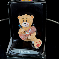Thumbnail for Bad Taste Bears Selwyn Figurine 2005 Funny Gift Box Damaged Drawing Cartoon0