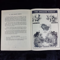 Thumbnail for The Modern School Visual Geographies, 3 Book vintage Set 1950s Reprints Ornament5