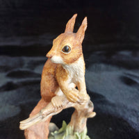 Thumbnail for Border Fine Arts Squirrel Figurine Handmade Scotland Wildlife 6” Tree Stump Deco1