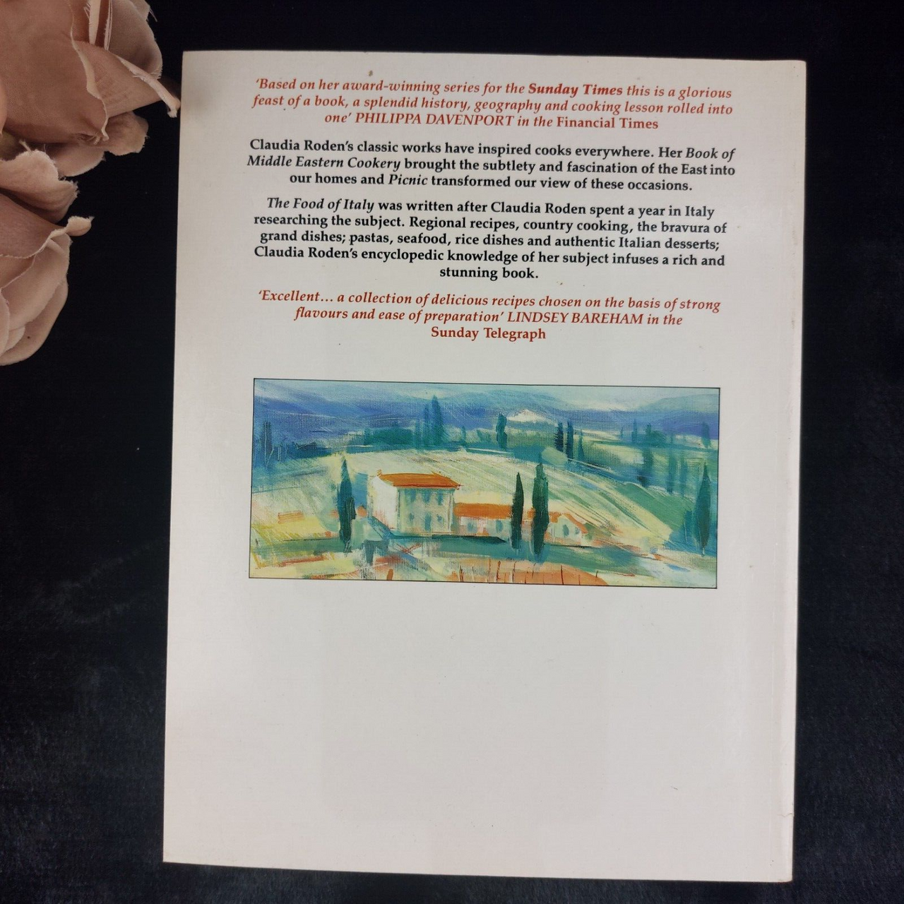 The Food of Italy 1990 by Claudia Roden Regional Italian cookbook gift xmas3