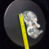 Thumbnail for Copenhagen Royal cat Figurine Playful Kitten gift 727 Gray White Cat Denmark dec11