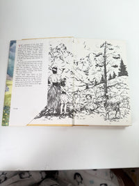 Thumbnail for Collins Heidi &Heidi’s Children Illustrated Plague Doane 1973 1969 Book Set deco10