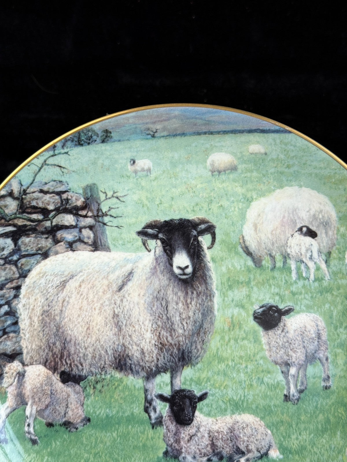 Border Fine Arts The "Spring Lambing" Collector's Plate James Herriot Series16