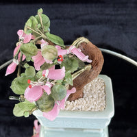 Thumbnail for Hand-Carved Bonsai Jade/Stone Tree Figurine - Pink Flowers & Green Leaves gift2