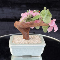 Thumbnail for Hand-Carved Bonsai Jade/Stone Tree Figurine - Pink Flowers & Green Leaves gift6