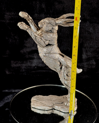 Thumbnail for Edge Sculpture Metallic Boxing Hare Statue by Andrew Hull Metal Finish 13