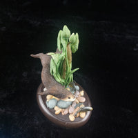 Thumbnail for Rare Border Fine Arts Studio –A7683 200 Enesc Figurine 