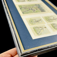 Thumbnail for Lucien Caught Davis at Wicket Cricket Framed Print W.G. Grace Technique Scenes.9