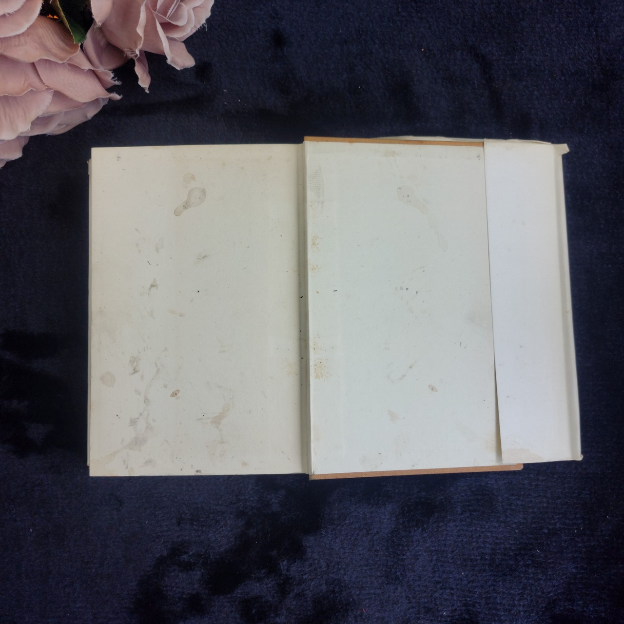 1933 Black Loki Persian Cat Book Violet Hunt Reprint Good with Dust Worn Jacket8