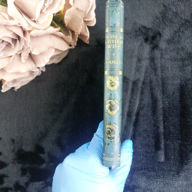 Novel Wise and Otherwise Pansy Illustrated  Antique Book1