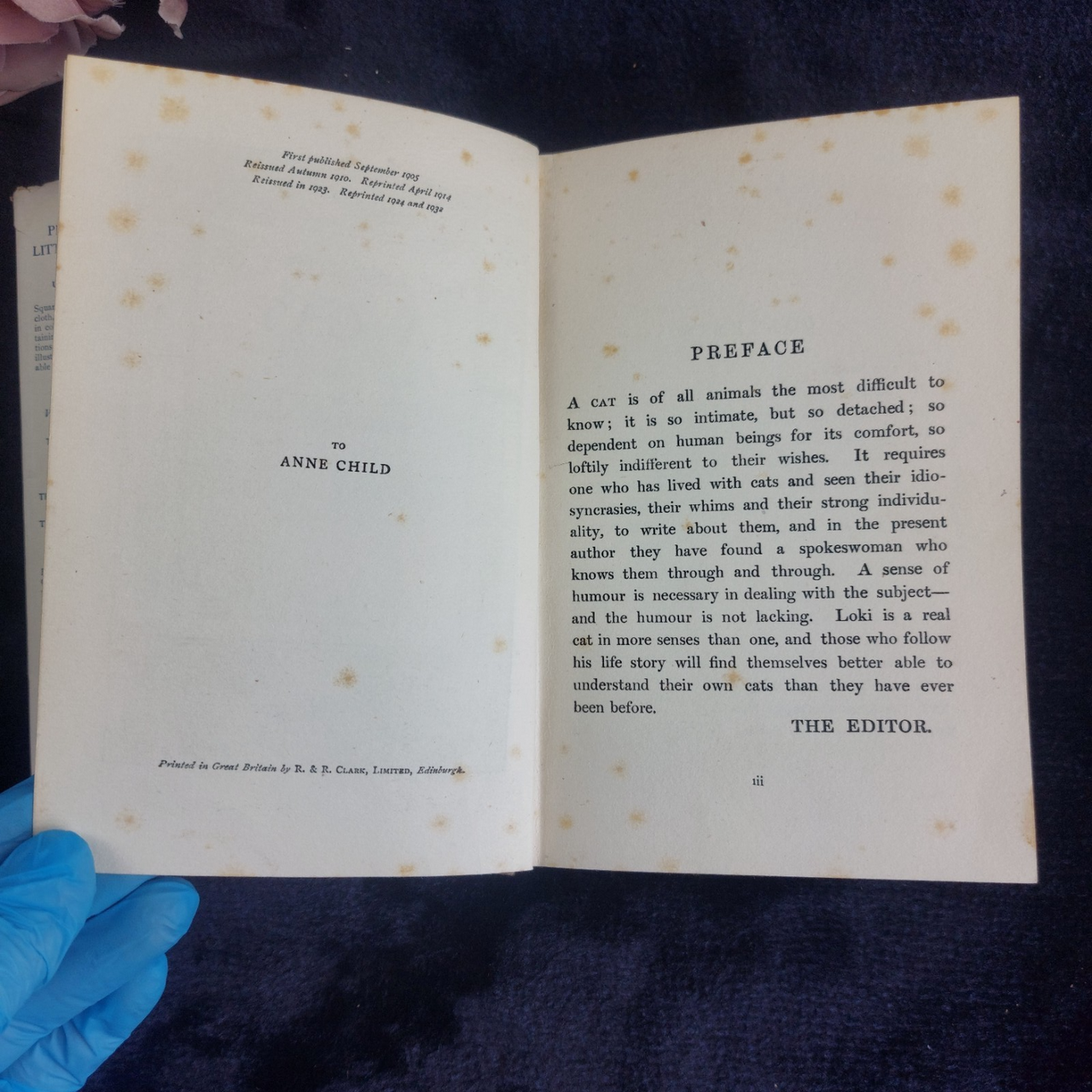 1933 Black Loki Persian Cat Book Violet Hunt Reprint Good with Dust Worn Jacket17
