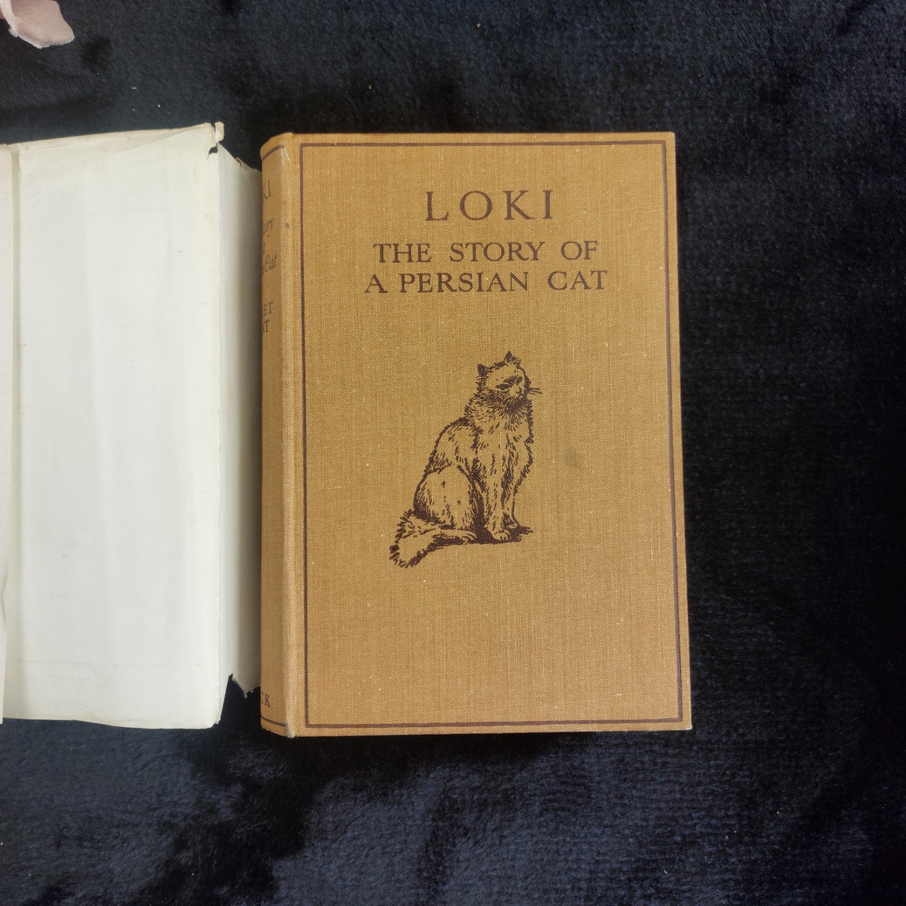 1933 Black Loki Persian Cat Book Violet Hunt Reprint Good with Dust Worn Jacket14