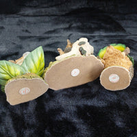 Thumbnail for Langford Hedgies Figurines Lot Baby Howard Digby 199 Ollie Slide decor see pics10