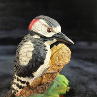 Thumbnail for Border Fine Arts Great Spotted Woodpecker A0409 Russell Willis 2000 Figurine dec6