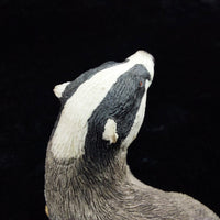 Thumbnail for Border Fine Arts Society Woodland Ramble Badger 2005 Figurine B0913 - 7cm Tall5